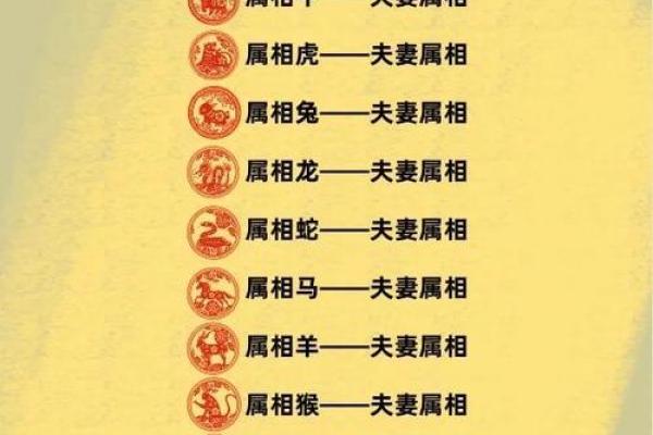 戊辰日男命与女命的完美契合：如何选择理想伴侣的指南