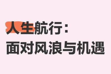 命运的风帆：如何驾驭人生的波涛起伏