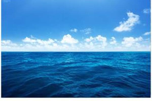 大海水之命：探索与海洋如影随形的人生轨迹