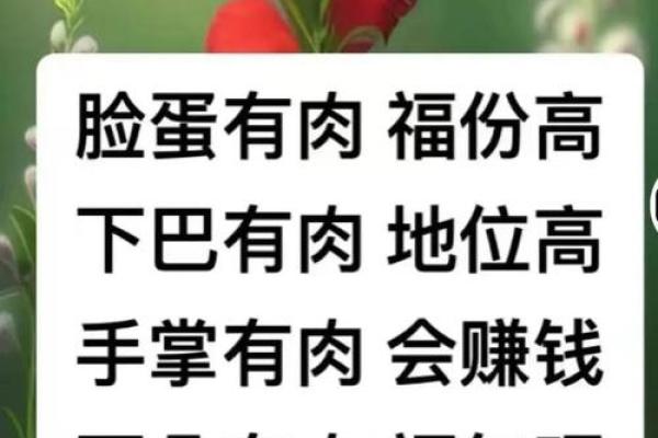 如何判断一个男人的命运是否苦命？透视命理与人生选择