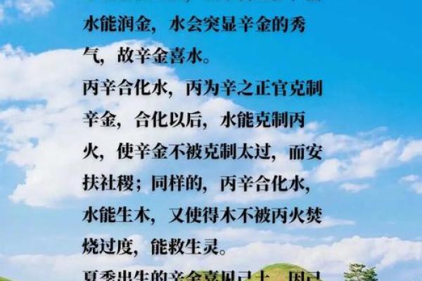 探秘辛丑壁上土命：命理中的独特寓意与生活启示