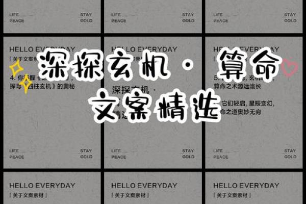 骨重3.8钱揭示的命理密码，探索你的命运之钥！