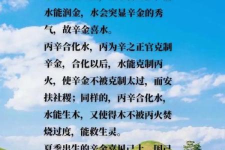 探秘辛丑壁上土命：命理中的独特寓意与生活启示