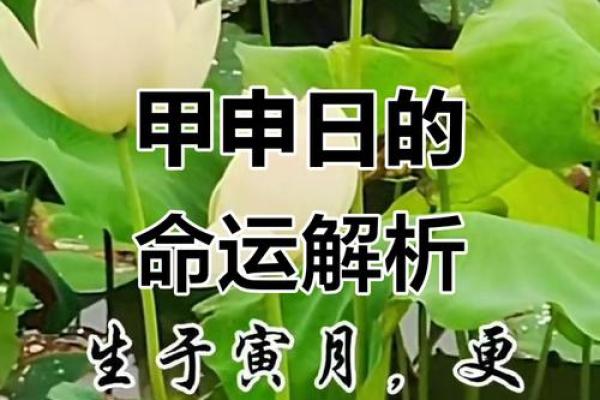 解密甲申日柱：探讨其命理与个性之旅