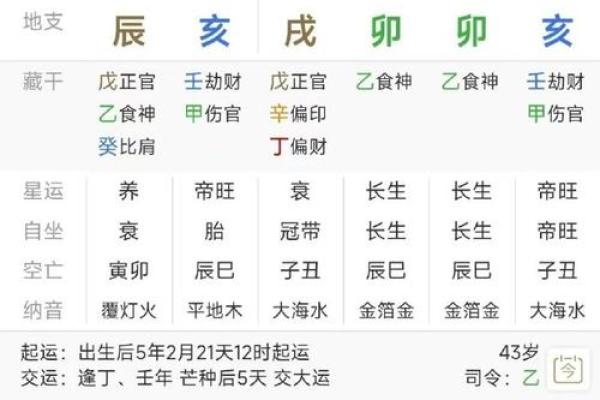 女命掌权的八字命盘解析：揭示女性成功的命运奥秘