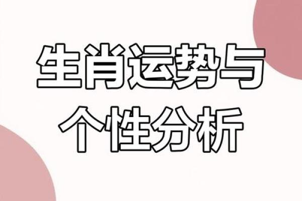 2005年属鸡人的命运解析：从性格到未来发展全揭秘！