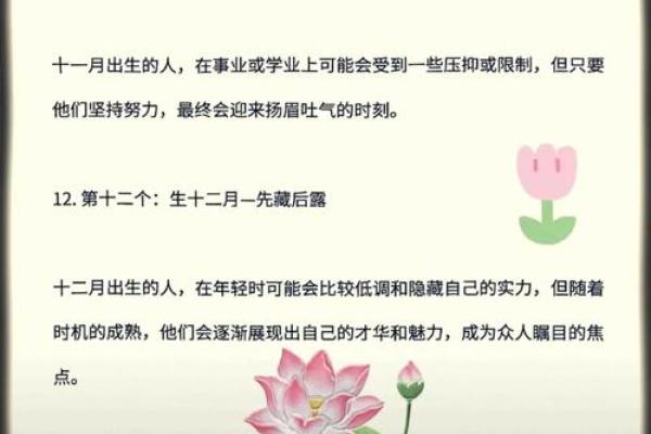 65年12月出生的人命运分析：独特人生轨迹与性格特征