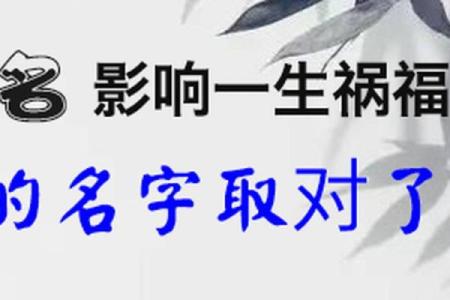 如何根据名字解析命运，揭示隐藏的字义与人生轨迹