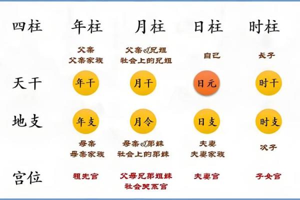 揭秘命理：根据年柱看你的命运与性格特征