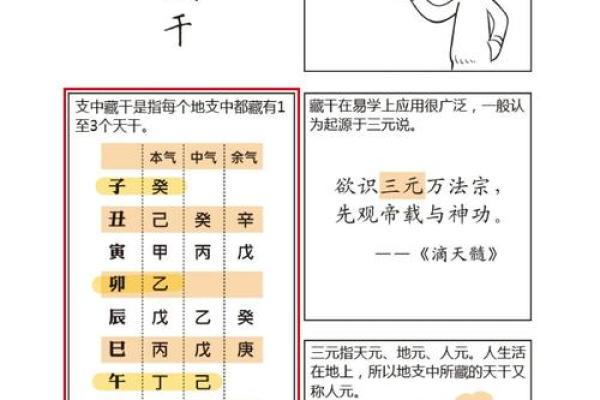 探索基础命理的奥秘：从五行到命格的全景解析