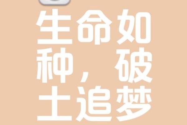壁上土命：灵动之土的命名艺术与生命启示