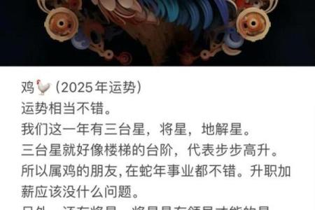 1993年鼠鸡相遇：命运与机遇的奇妙交织