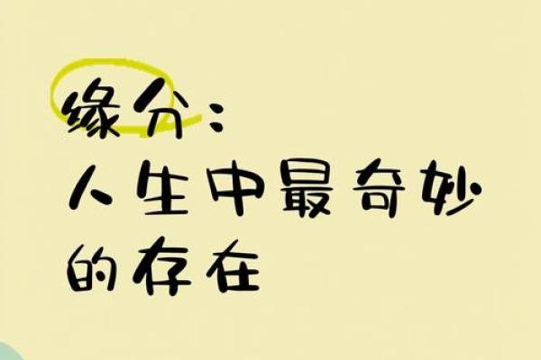 算命与养命：探索命运与人生的奇妙关系