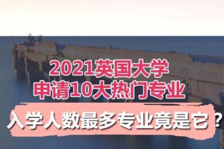木命男生适合选择哪些专业？你的未来在这里揭晓！