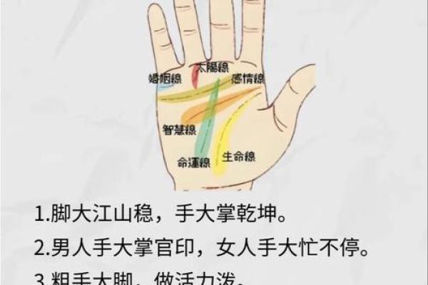 手心大与手指短的命运密码：你知道吗？