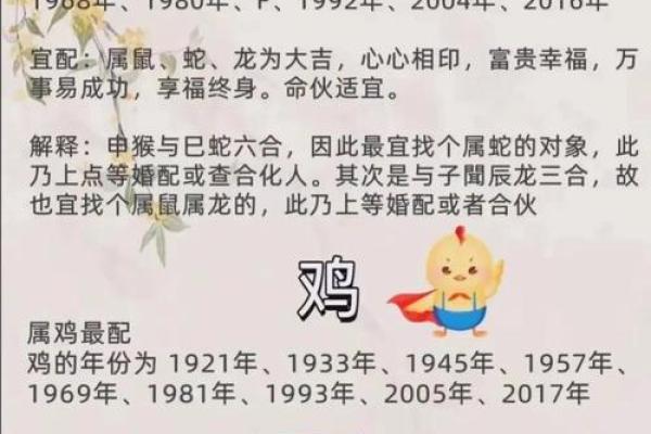 80后属相与命理：探寻人生轨迹与潜在可能性