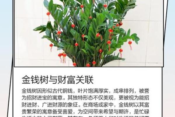 如何选择合适的命理来养护金钱树，助你财富增值