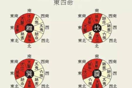探究东四命与西四命的奥秘，解读命理与人生的智慧！