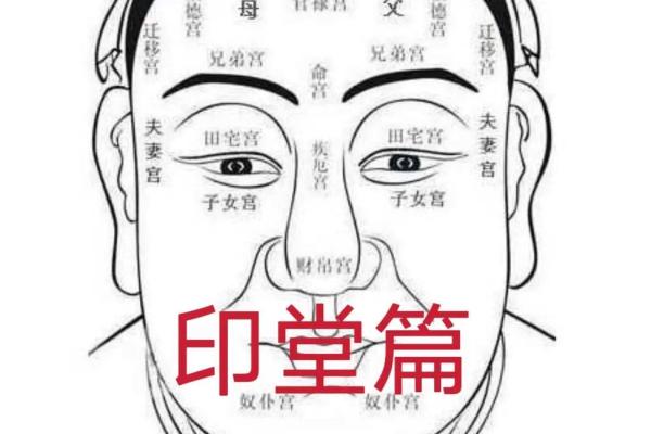 眉毛尾部分叉的命运解析：看相术中的秘密与启示