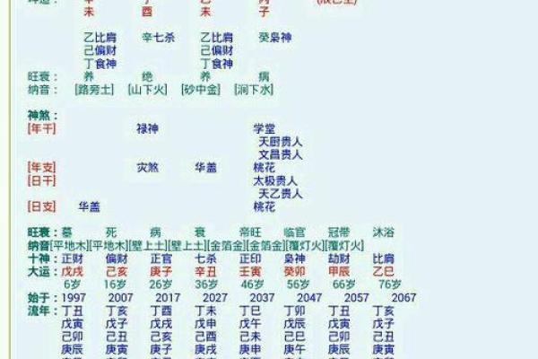 老虎八字命硬：揭示命格中的秘密与潜力
