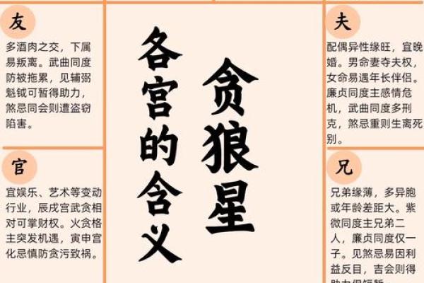 合伙做买卖看什么命？风水与命理的深度解析！