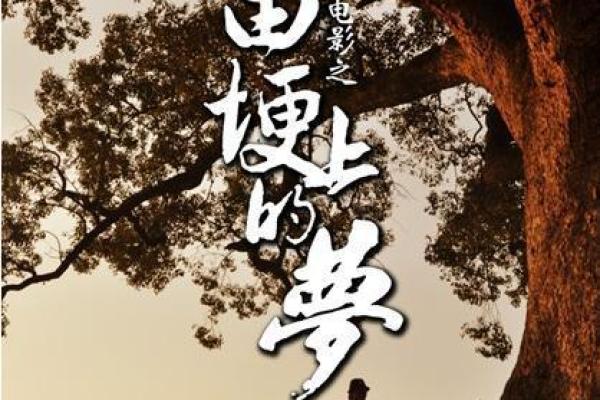 解密空劫：命中注定的人生密码与成长之路