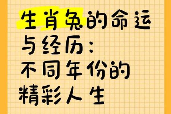 1950年兔子命运：解读属兔人的性格与人生之路