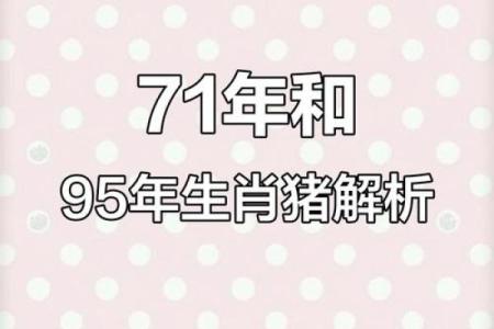 阴历95年属猪人：命运与性格的深度解析