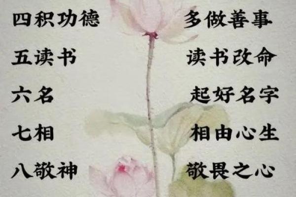 农历1988年属什么命？探讨命理与人生智慧