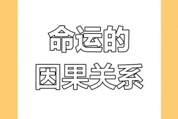 如果被人杀害，命运将何去何从？探讨生死与因果的深刻思考