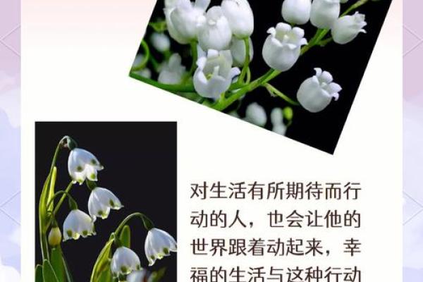 通过生辰命里缺什么来寻求内心的平衡与幸福