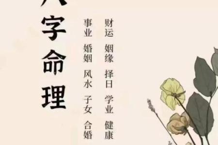 农历1988年属什么命？探讨命理与人生智慧