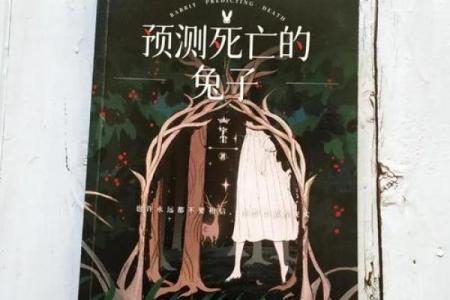 1975年女兔命运探秘：如何走出人生的坎坷与辉煌