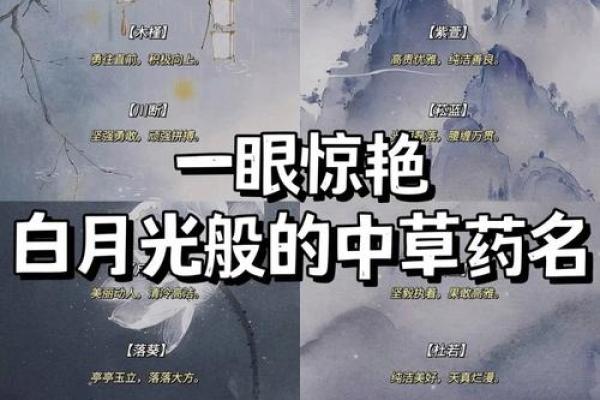 天河水命：追寻灵动的网名之美