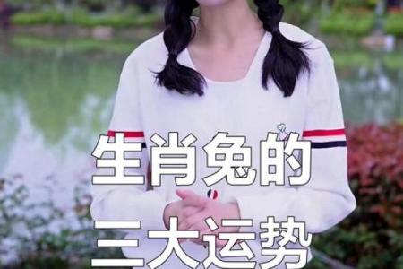 2023兔年运势解析：揭示兔子命运背后的秘密与机会