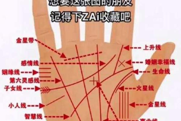 揭秘手相：从手掌纹理看你的命运与性格