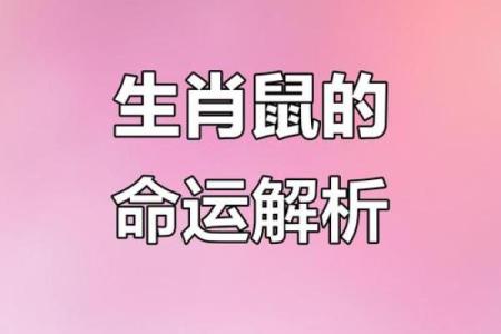 揭开1970年出生生肖命运的神秘面纱，探索人生的转折与启示