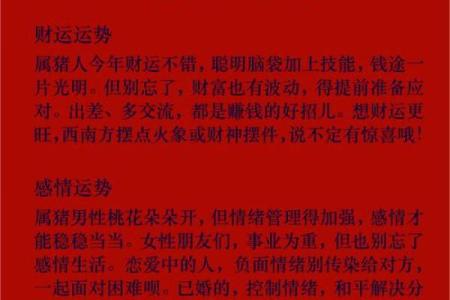 揭秘天生命运，财运的奥秘与提升法则！