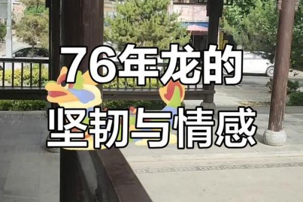 1976属龙的人：命运、个性与成功之路探寻