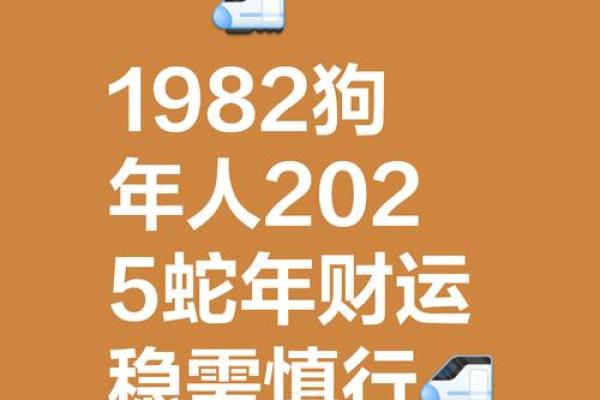 属狗水命的人缺什么？揭秘命理中的秘密与提升之道！