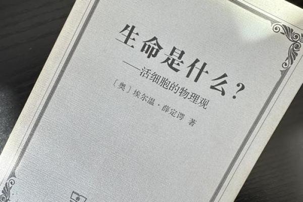 命藏之理：探索生命深处的奥秘与智慧
