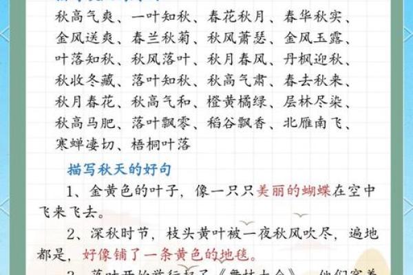 深秋时分，如何在金色的季节里寻找内心的平静与快乐
