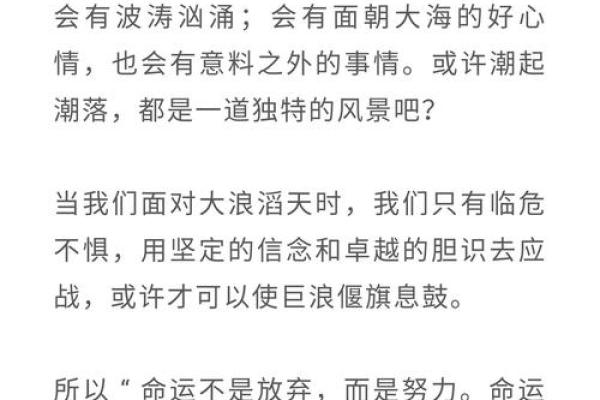揭秘2003年出生的人命运：如何把握人生每一步