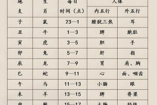 1994年出生的命与生肖：探索命理与运势的奥秘
