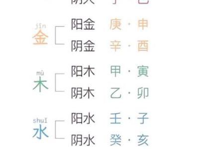 探寻命理：算卦的人究竟是什么命？揭秘命运的奥秘！