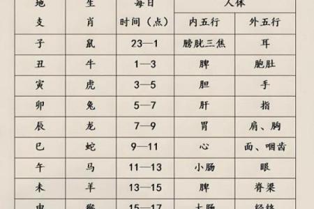 1994年出生的命与生肖：探索命理与运势的奥秘