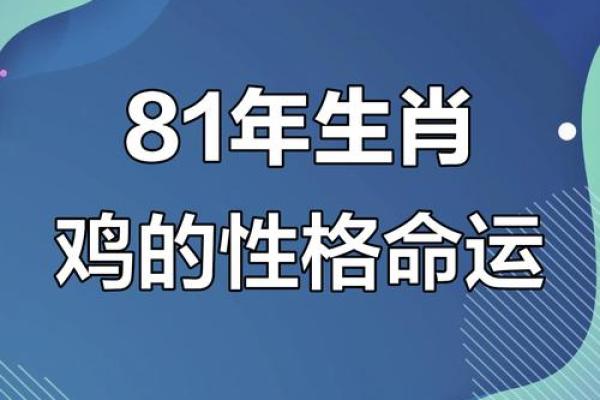属鸡腊月出生的人命运解析：聪慧与坚韧的结合之道