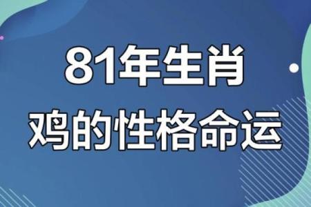 属鸡腊月出生的人命运解析：聪慧与坚韧的结合之道