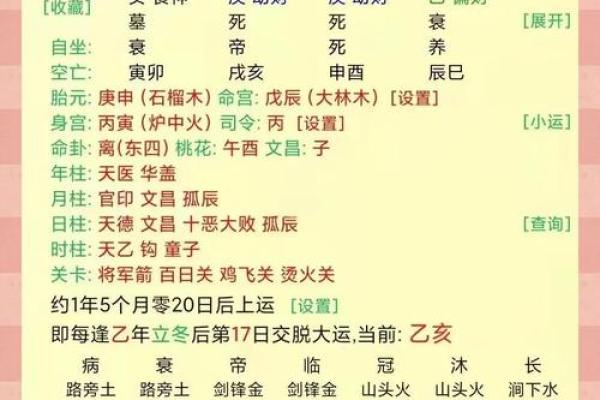 解密丁酉年：命理解析与人生指导