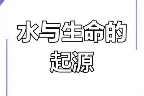 大海水命人喜与忌：探寻生命的源泉与逆流